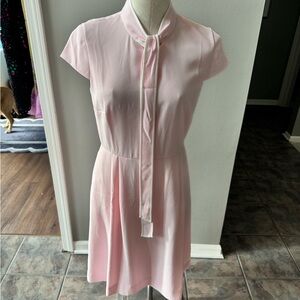 NWT Pink J.Crew Dress